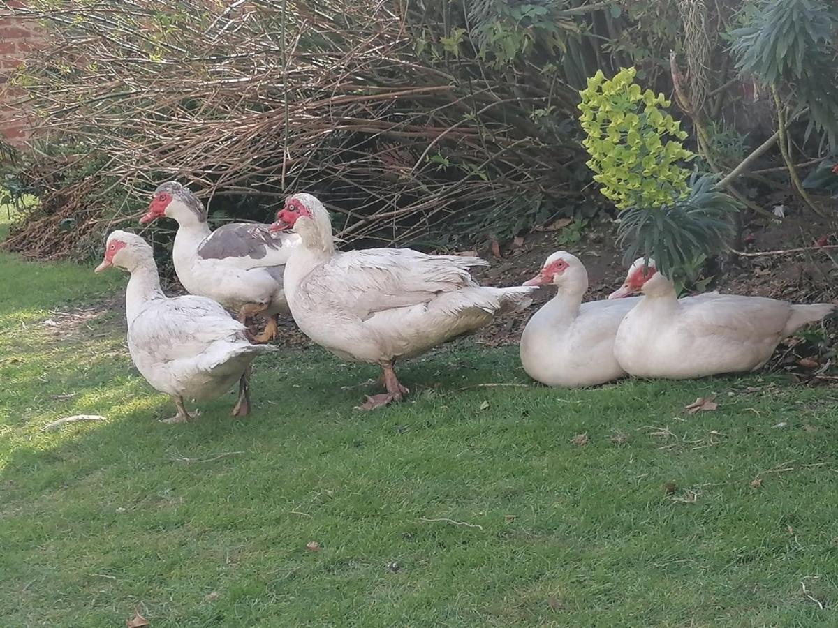 Clumber Lane End Farm Bed & Breakfast Worksop Dış mekan fotoğraf